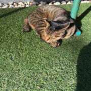 ヒメ日記 2026/02/04 09:17 投稿 もえ リッチドールフェミニン