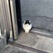 ヒメ日記 2026/02/22 08:57 投稿 もえ リッチドールフェミニン