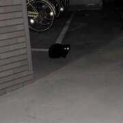 ヒメ日記 2026/04/05 06:47 投稿 もえ リッチドールフェミニン