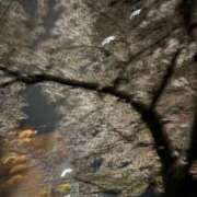 ヒメ日記 2026/04/14 08:07 投稿 もえ リッチドールフェミニン