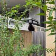 ヒメ日記 2026/06/10 09:47 投稿 もえ リッチドールフェミニン