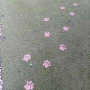 ヒメ日記 2026/07/20 07:27 投稿 もえ リッチドールフェミニン