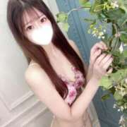 ヒメ日記 2025/01/31 05:03 投稿 ひなの【超癒し系ピュア美少女】 STELLA NEXT－ステラネクスト－