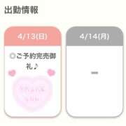 ひなの【超癒し系ピュア美少女】 連日完売🙇🏻‍♀️💗 STELLA NEXT－ステラネクスト－