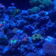 ヒメ日記 2025/09/25 07:00 投稿 さくら 制服向上委員会