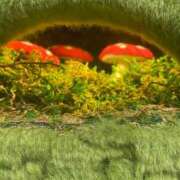 ヒメ日記 2025/10/18 15:27 投稿 さくら 制服向上委員会