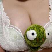 もね あみぐるみ作りました? 池袋ぱんぷきん（シンデレラグループ）