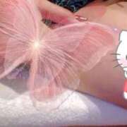 ヒメ日記 2024/12/21 07:03 投稿 織北 千恵 プルプルハウス