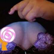 ヒメ日記 2025/10/28 05:45 投稿 織北 千恵 プルプルハウス