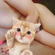 ヒメ日記 2025/10/29 19:01 投稿 織北 千恵 プルプルハウス