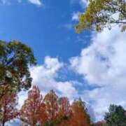 ヒメ日記 2025/11/19 18:02 投稿 織北 千恵 プルプルハウス