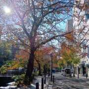 ヒメ日記 2025/11/21 13:20 投稿 織北 千恵 プルプルハウス