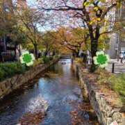 ヒメ日記 2025/11/23 07:01 投稿 織北 千恵 プルプルハウス