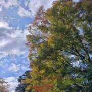 ヒメ日記 2025/11/28 07:01 投稿 織北 千恵 プルプルハウス