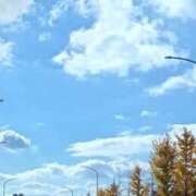 ヒメ日記 2025/11/30 10:45 投稿 織北 千恵 プルプルハウス