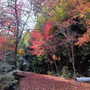 ヒメ日記 2025/12/04 13:00 投稿 織北 千恵 プルプルハウス