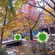 ヒメ日記 2025/12/05 10:07 投稿 織北 千恵 プルプルハウス