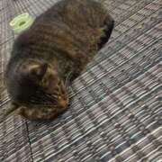 ヒメ日記 2024/12/21 09:05 投稿 りんか 木更津人妻花壇