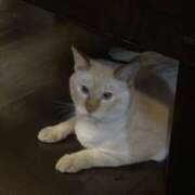 ヒメ日記 2024/12/26 12:13 投稿 りんか 木更津人妻花壇