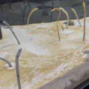 ヒメ日記 2025/08/27 01:55 投稿 あずさ 梅田人妻秘密倶楽部