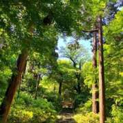 ヒメ日記 2025/05/07 21:12 投稿 るな ぺろぺろベロベロ専科 ぺろんちょ