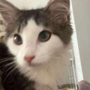 ヒメ日記 2025/09/19 15:06 投稿 るな ぺろぺろベロベロ専科 ぺろんちょ