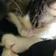 ヒメ日記 2025/10/18 21:35 投稿 るな ぺろぺろベロベロ専科 ぺろんちょ