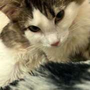 ヒメ日記 2025/11/26 13:15 投稿 るな ぺろぺろベロベロ専科 ぺろんちょ