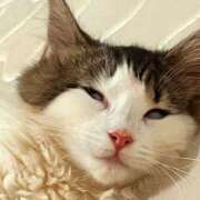 ヒメ日記 2025/11/27 07:55 投稿 るな ぺろぺろベロベロ専科 ぺろんちょ