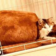 ヒメ日記 2026/01/05 14:35 投稿 るな ぺろぺろベロベロ専科 ぺろんちょ