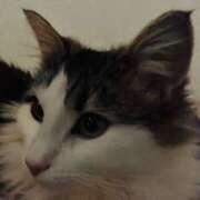 ヒメ日記 2026/01/09 15:15 投稿 るな ぺろぺろベロベロ専科 ぺろんちょ