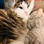 ヒメ日記 2026/01/25 12:05 投稿 るな ぺろぺろベロベロ専科 ぺろんちょ