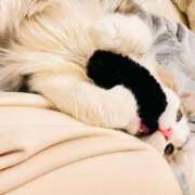 ヒメ日記 2026/02/01 15:57 投稿 るな ぺろぺろベロベロ専科 ぺろんちょ