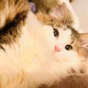 ヒメ日記 2026/02/15 19:35 投稿 るな ぺろぺろベロベロ専科 ぺろんちょ