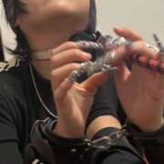 ヒメ日記 2026/02/23 14:15 投稿 るな ぺろぺろベロベロ専科 ぺろんちょ