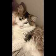 ヒメ日記 2026/04/04 19:25 投稿 るな ぺろぺろベロベロ専科 ぺろんちょ