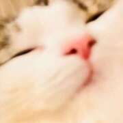 ヒメ日記 2026/04/15 10:15 投稿 るな ぺろぺろベロベロ専科 ぺろんちょ