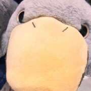 ヒメ日記 2026/05/12 20:55 投稿 るな ぺろぺろベロベロ専科 ぺろんちょ
