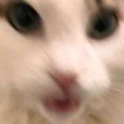 ヒメ日記 2026/05/14 22:15 投稿 るな ぺろぺろベロベロ専科 ぺろんちょ