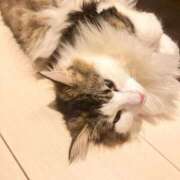 ヒメ日記 2026/09/04 21:25 投稿 るな ぺろぺろベロベロ専科 ぺろんちょ