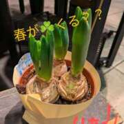 ヒメ日記 2025/01/15 15:53 投稿 りあん 国分寺人妻研究会