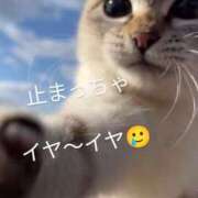 ヒメ日記 2025/01/24 21:52 投稿 りあん 国分寺人妻研究会