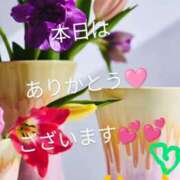 ヒメ日記 2025/02/13 22:29 投稿 りあん 国分寺人妻研究会