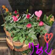 ヒメ日記 2025/02/15 04:22 投稿 りあん 国分寺人妻研究会