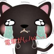 ヒメ日記 2025/02/18 21:45 投稿 りあん 国分寺人妻研究会