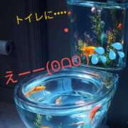 ヒメ日記 2025/03/01 12:40 投稿 りあん 国分寺人妻研究会