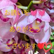 ヒメ日記 2025/03/11 21:29 投稿 りあん 国分寺人妻研究会