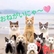 ヒメ日記 2025/03/13 12:37 投稿 りあん 国分寺人妻研究会