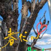 ヒメ日記 2025/03/19 17:58 投稿 りあん 国分寺人妻研究会