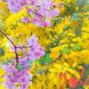 ヒメ日記 2025/03/22 13:02 投稿 りあん 国分寺人妻研究会